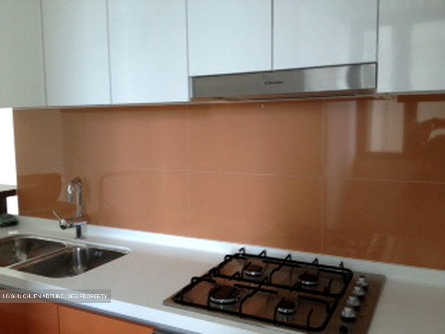 Double Bay Residences (D18), Condominium #562054641